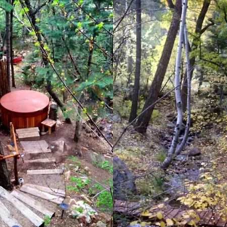 Superb Getaway Nestled In National Forest, New Mexico * Santa Fe