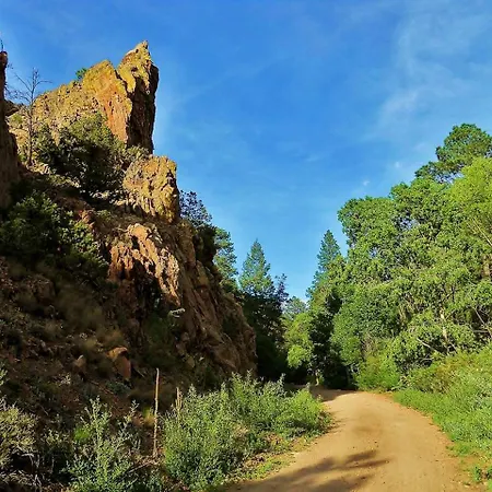 Superb Getaway Nestled In National Forest, New Mexico *