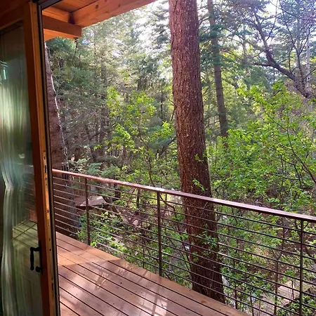Superb Getaway Nestled In National Forest, New Mexico * Santa Fe