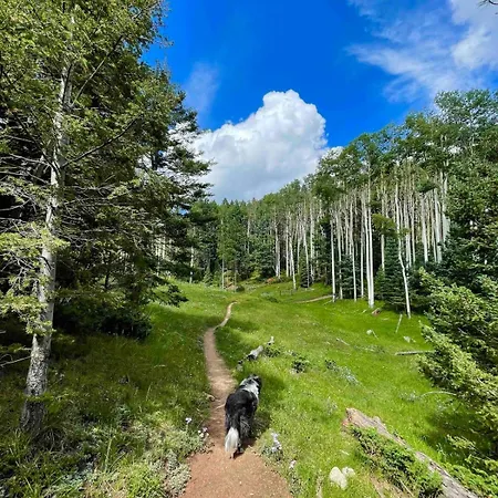 Superb Getaway Nestled In National Forest, New Mexico Santa Fe