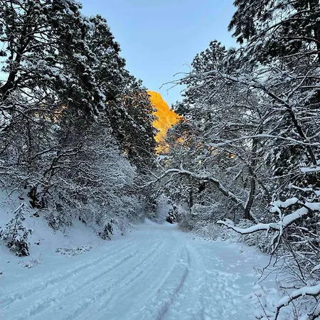 Superb Getaway Nestled In National Forest, New Mexico Holiday home *