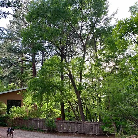 Superb Getaway Nestled In National Forest, New Mexico *